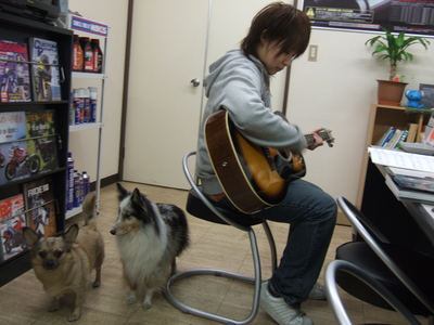 2008_1125ギター0009.JPG